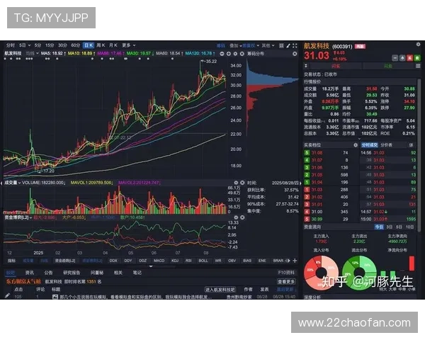 2025年白菜行情分析最新消息及市场趋势解读